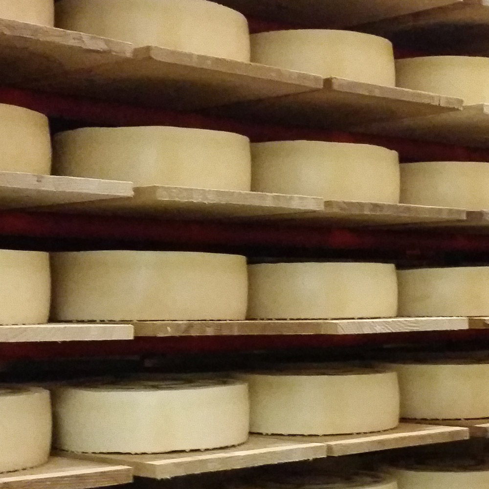 A picture of the racking that Gutensberg cheese ages on