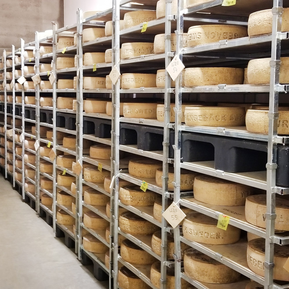 A photo of the racking that Wragneback cheese matures on