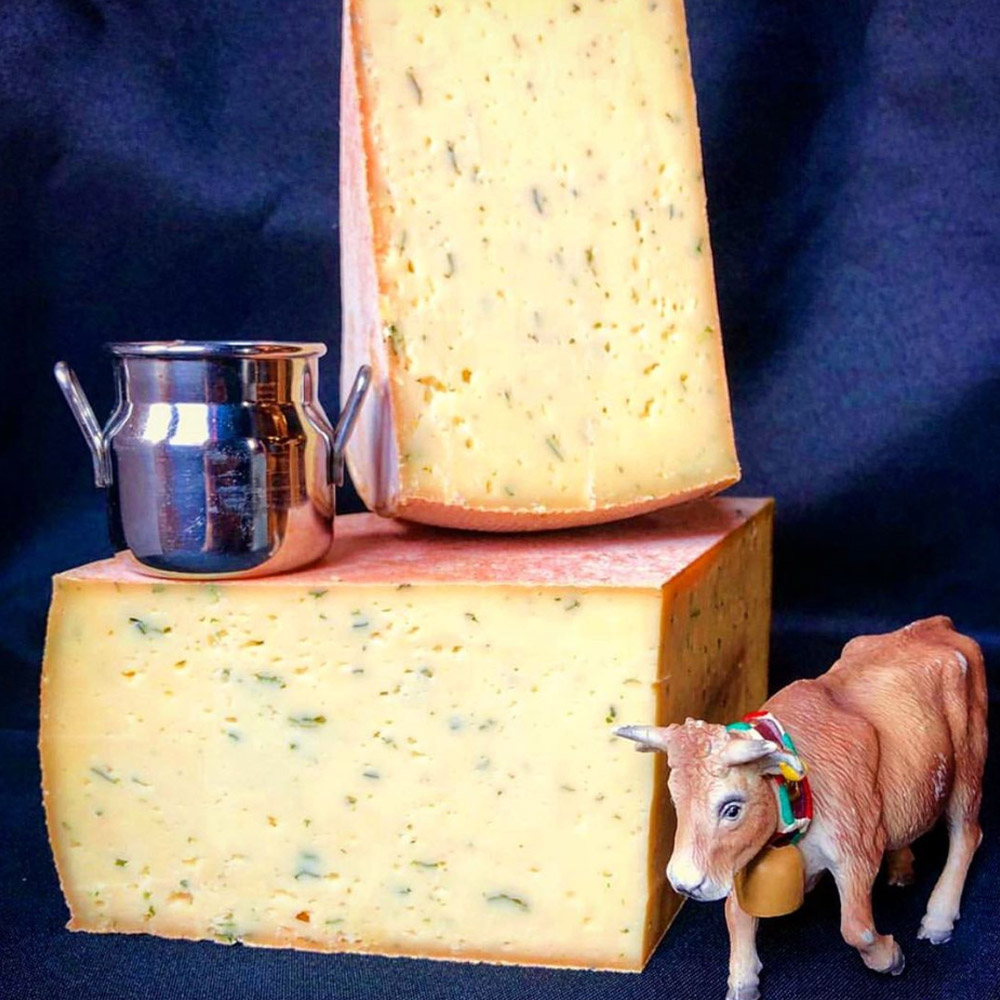 Two quarters of Lisa with Ramps cheese on a blue background next to a cow figurine