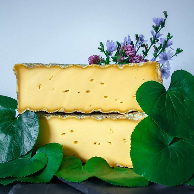 Meadow Creek Dairy Galax EURO USA