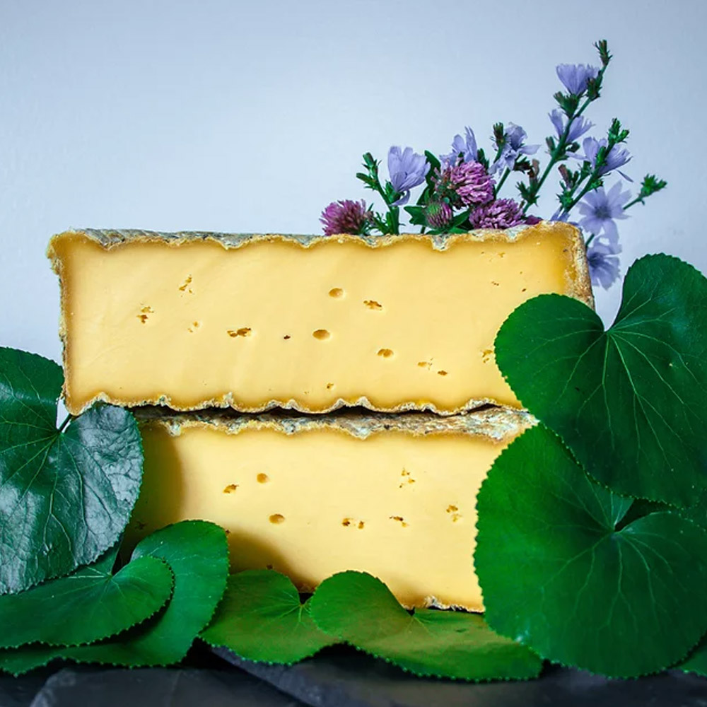 A cut square of Galax cheese surrounded by leaves and flowers