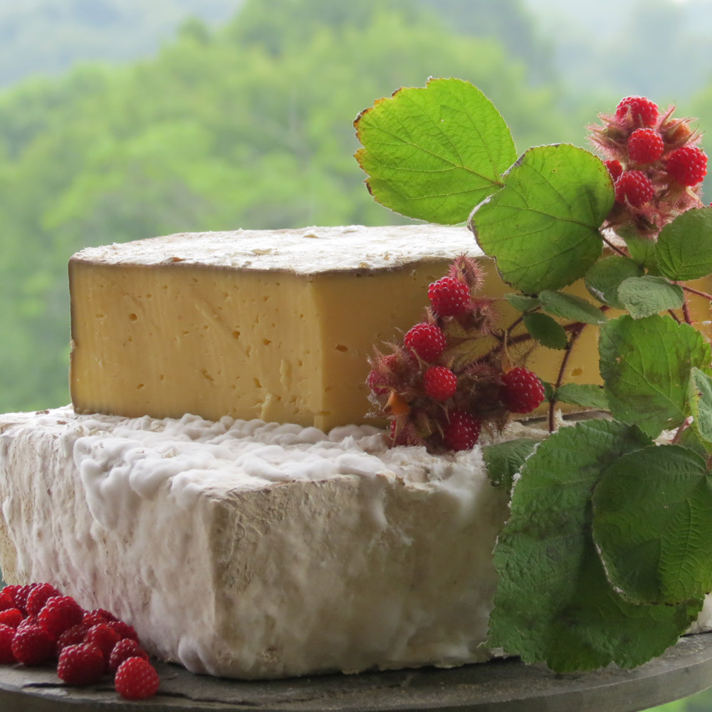Meadow Creek Dairy Appalachian cheese next to a pile of raspberries and a raspberry plant