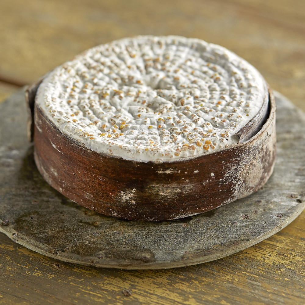 A wheel of Spruce Reserve cheese on a board