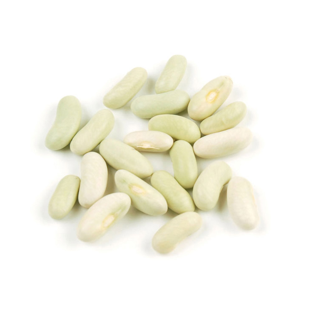 White flageolet beans