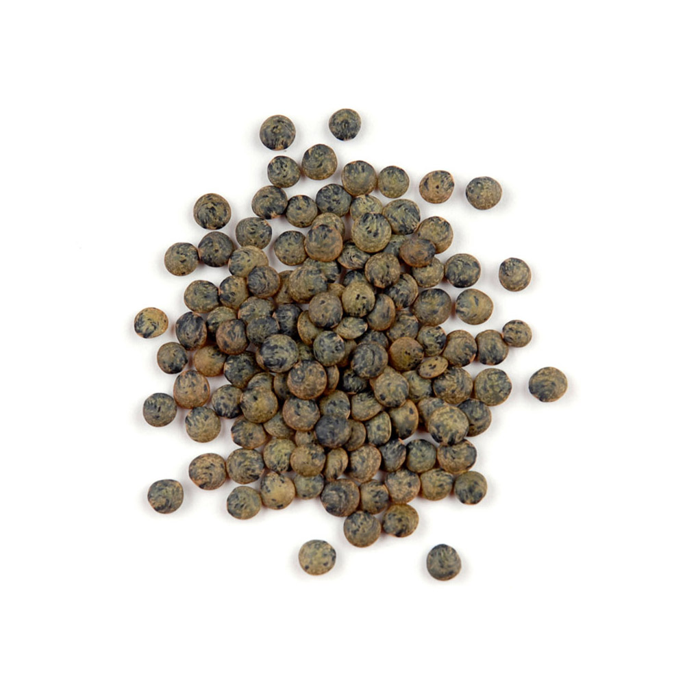 Pile of French green lentils
