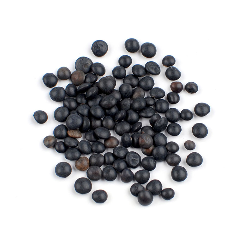 Pile of petite black lentils