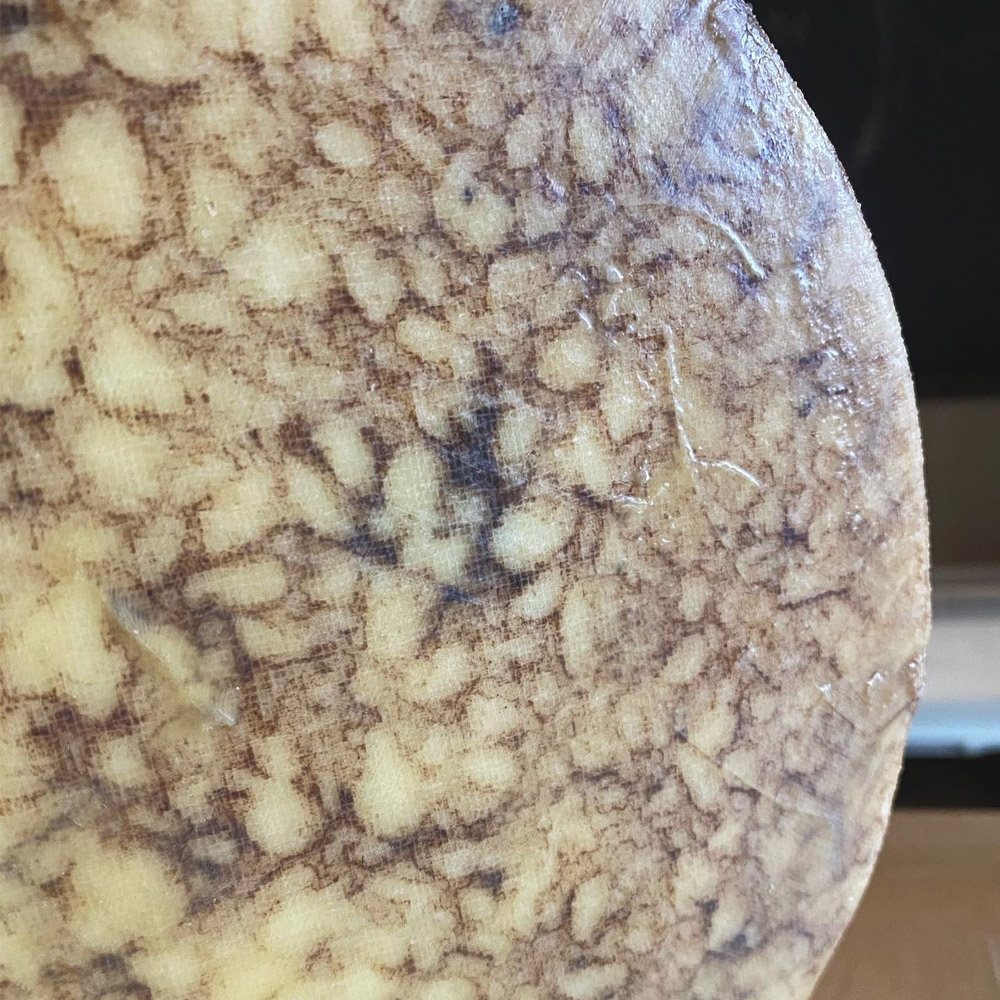A close up of Deer Creek The Wild Boar Cheese