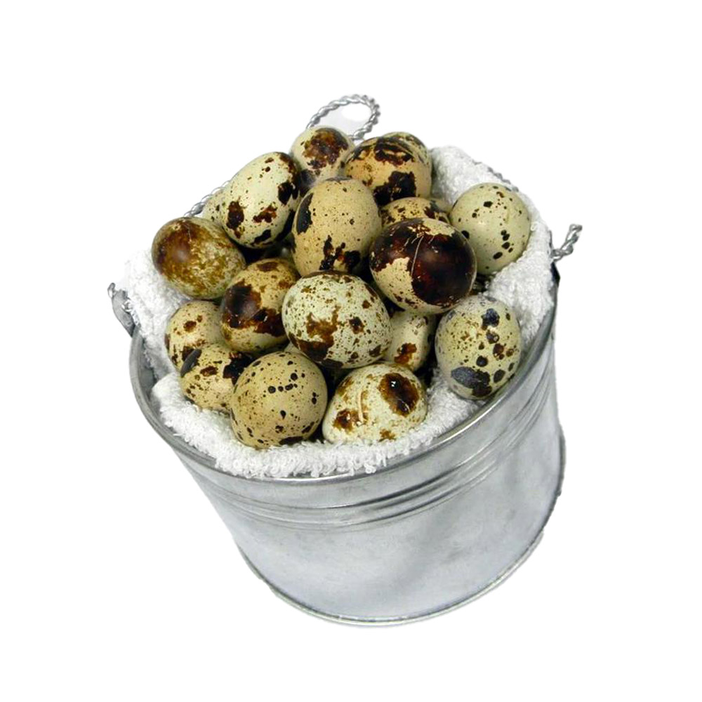 New york state coturnix quail eggs in open container