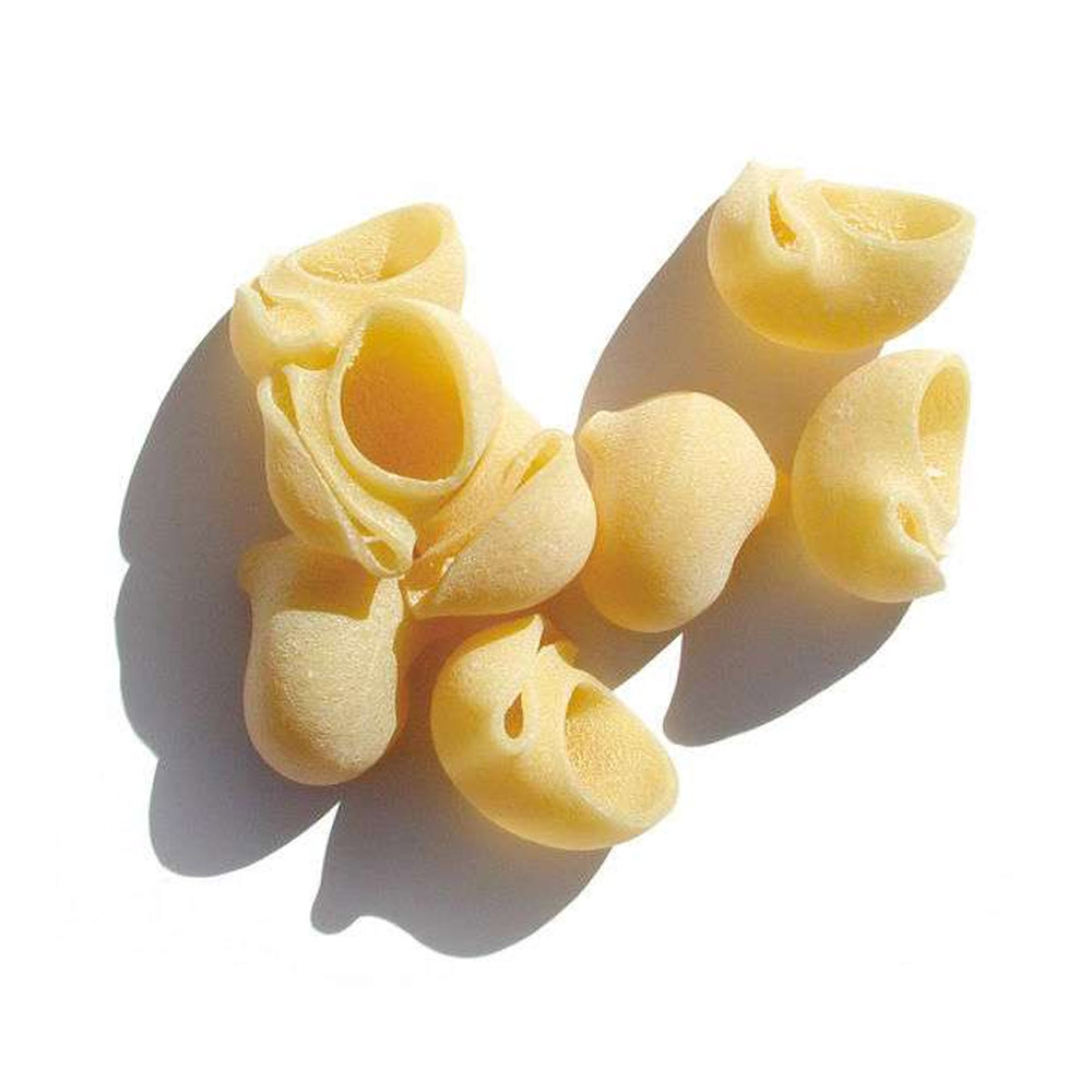 Benedetto Cavalieri Lumache noodles on a white background
