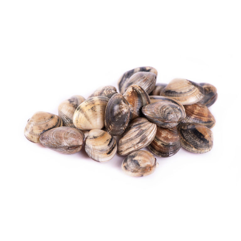 ClamsHardshell/Quahog EURO USA