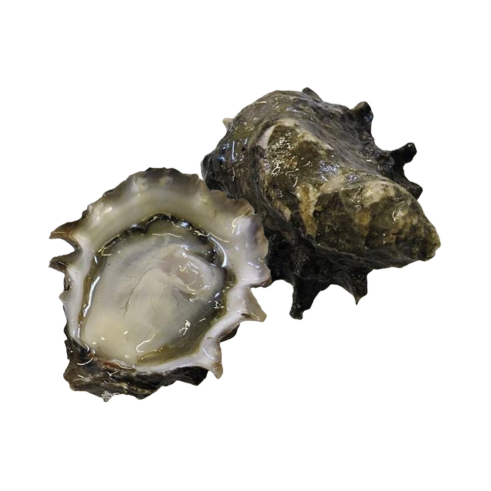 An open Hammersley Inlet oyster