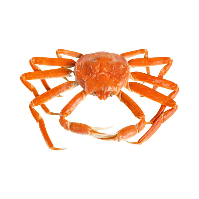 Snow Crab - EURO USA